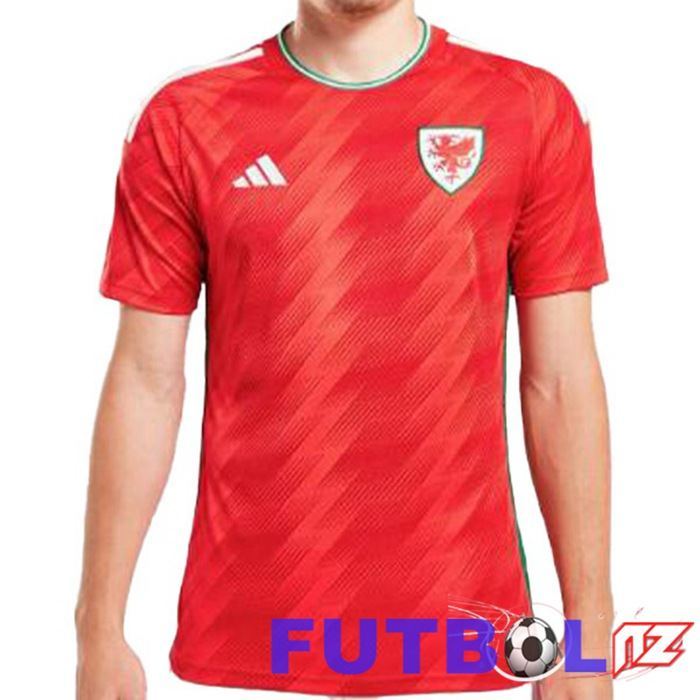 Camisetas De Futbol Gales Primera Rojo 2022/2023