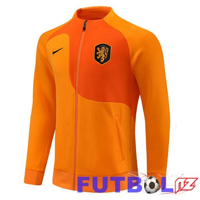 Chaquetas Futbol Países Bajos Naranja 2022/2023