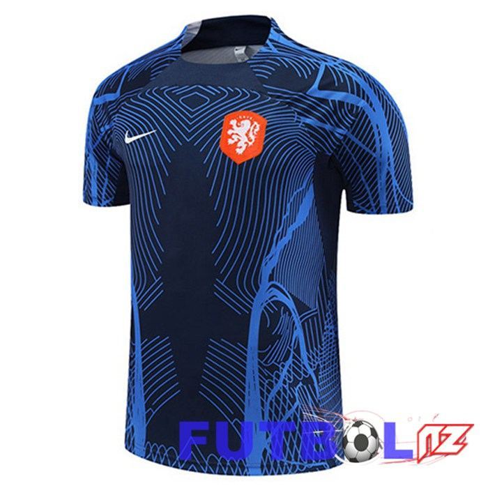 Camiseta Entrenamiento Países Bajos Azul Real 2022/2023