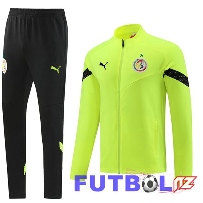 Chandal Equipos De Futbol - Chaqueta Senegal Verde 2023/2024