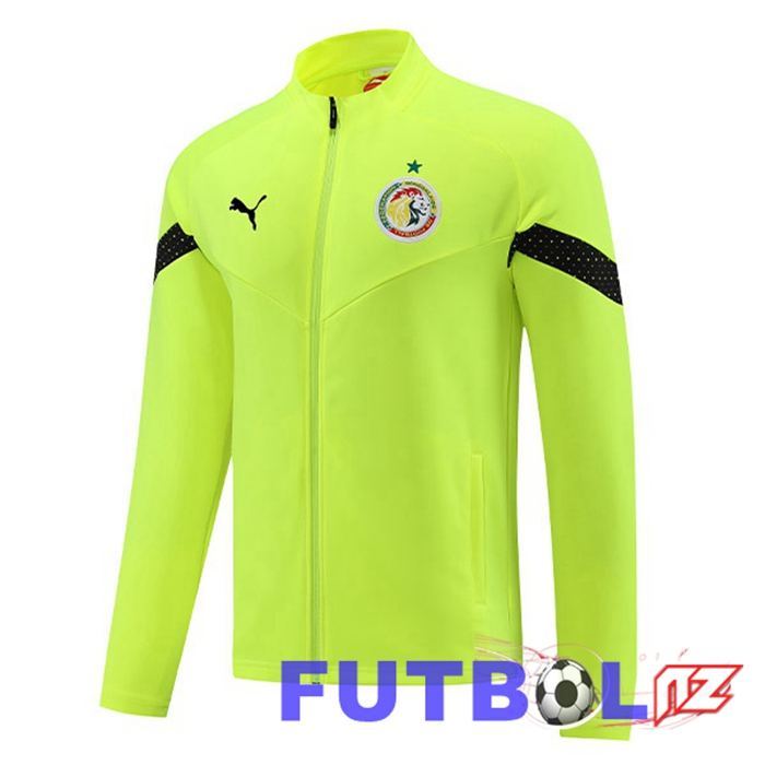 Chaquetas Futbol Senegal Verde 2023/2024 Chaquetas Futbol Senegal Verde 2023/2024