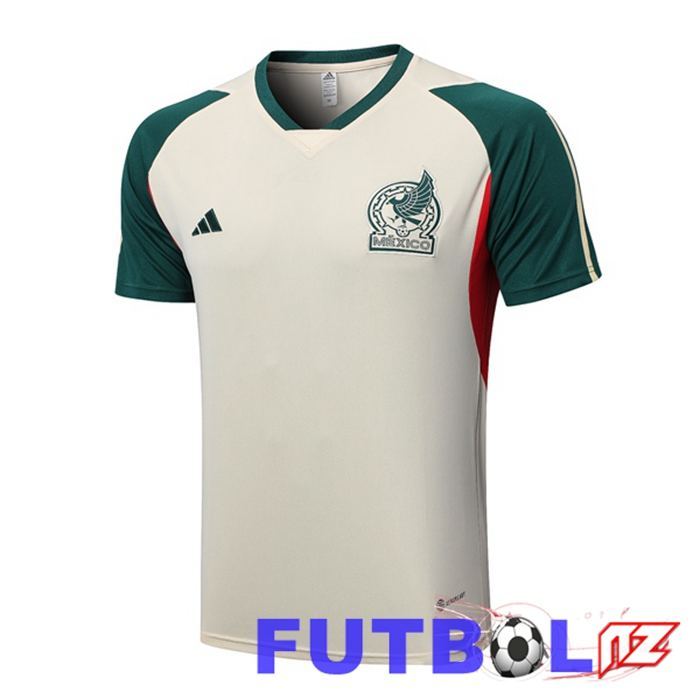 Camiseta Entrenamiento México Marrón 2023/2024