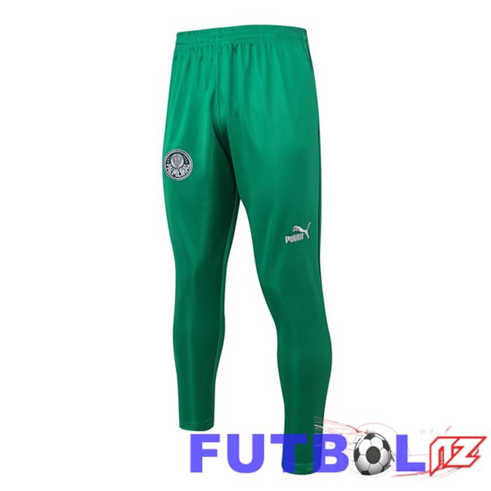 Pantalon Entrenamiento Palmeiras Verde 2023/2024