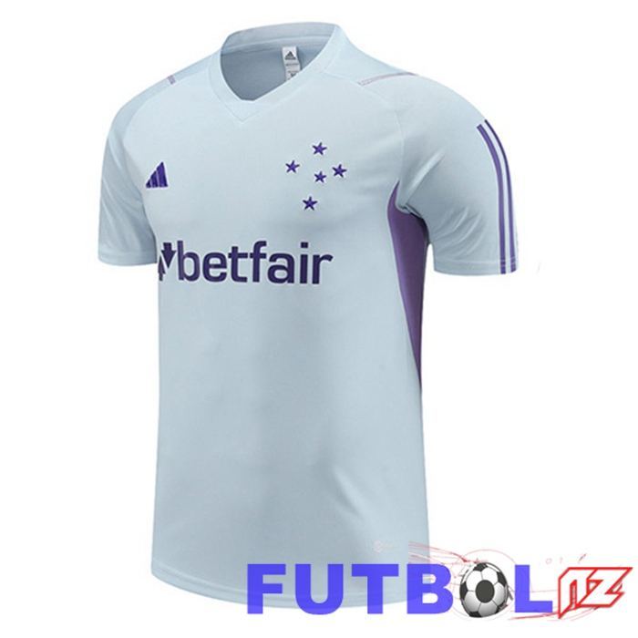 Camiseta Entrenamiento Cruzeiro EC Gris 2023/2024