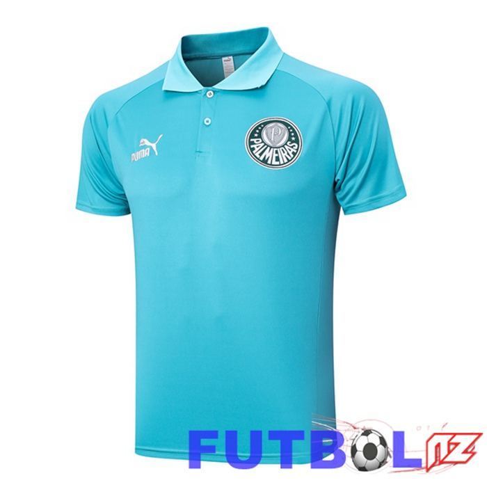 Camiseta Polo Palmeiras Verde 2023/2024 Camiseta Polo Palmeiras Verde 2023/2024
