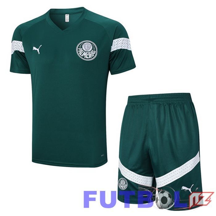 Camiseta Entrenamiento Palmeiras + Cortos Verde 2023/2024