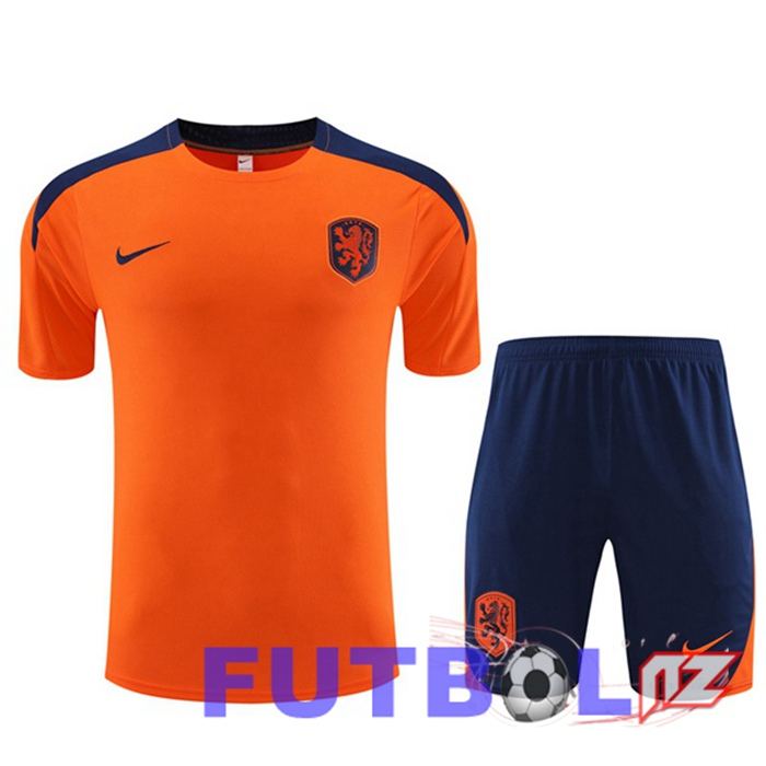 Camiseta Entrenamiento Países Bajos + Cortos Naranja 2023/2024