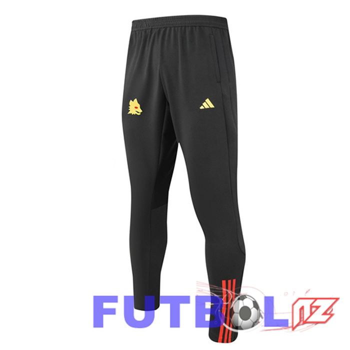 Pantalon Entrenamiento AS Roma Gris 2023/2024