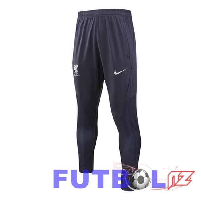 Pantalon Entrenamiento FC Liverpool Gris 2023/2024