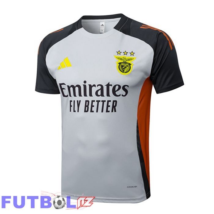 Camiseta Entrenamiento S.L Benfica Gris 2025/2026