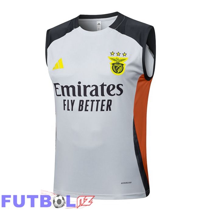 Chalecos De Futbol S.L Benfica Gris 2025/2026