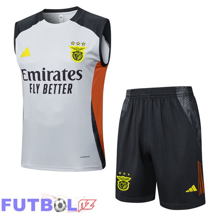 Chalecos De Futbol S.L Benfica + Cortos Gris 2025/2026
