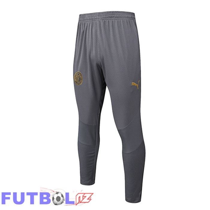 Pantalon Entrenamiento AC Milan Gris 2025/2026