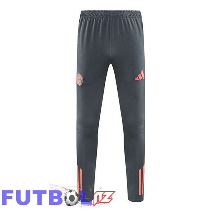 Pantalon Entrenamiento Bayern Munich Gris 2025/2026
