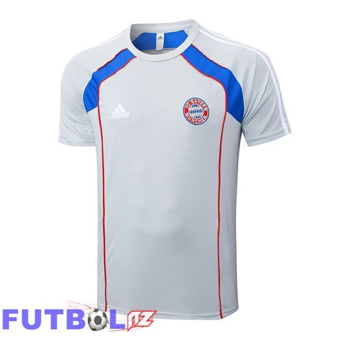 Camiseta Entrenamiento Bayern Munich Gris 2025/2026