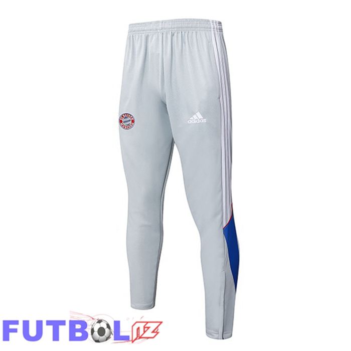 Pantalon Entrenamiento Bayern Munich Gris 2025/2026