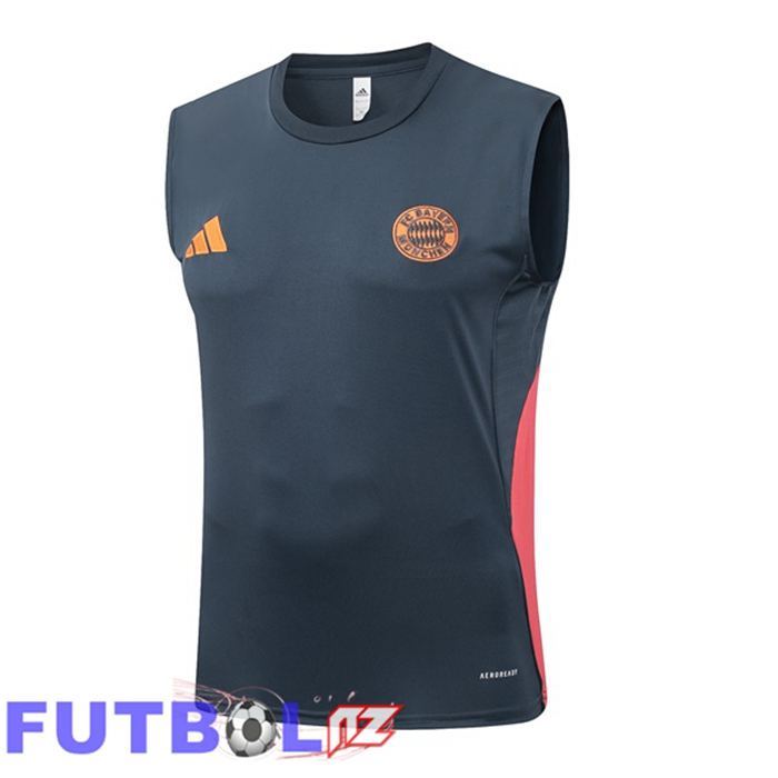 Chalecos De Futbol Bayern Munich Gris 2025/2026