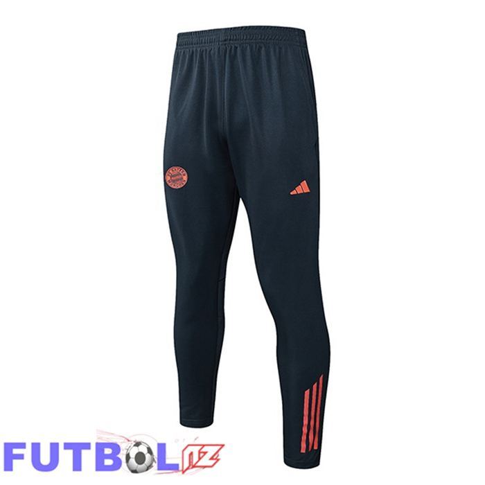 Pantalon Entrenamiento Bayern Munich Gris 2025/2026