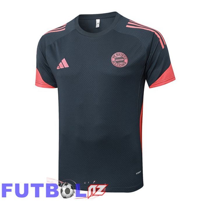 Camiseta Entrenamiento Bayern Munich Gris 2025/2026