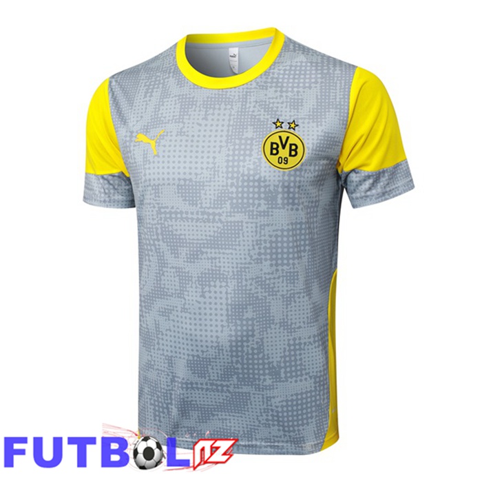 Camiseta Entrenamiento Dortmund BVB Gris 2025/2026