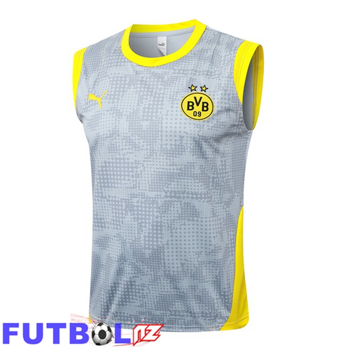 Chalecos De Futbol Dortmund BVB Gris 2025/2026