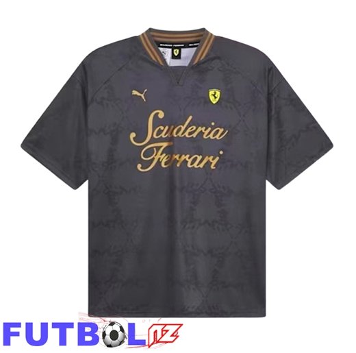 T-Shirt F1 Scuderia Ferrari Team Gris 2026