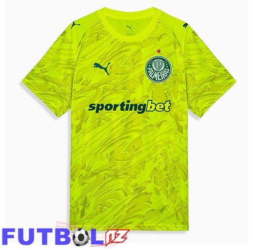 Camisetas De Futbol Palmeiras Portero Verde 2026/2027