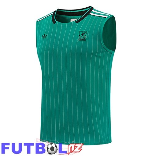Chalecos De Futbol FC Liverpool Verde 2026/2027