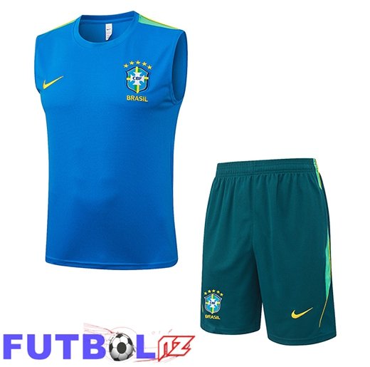 Chalecos De Futbol Brasil Azul/Verde 2026/2027