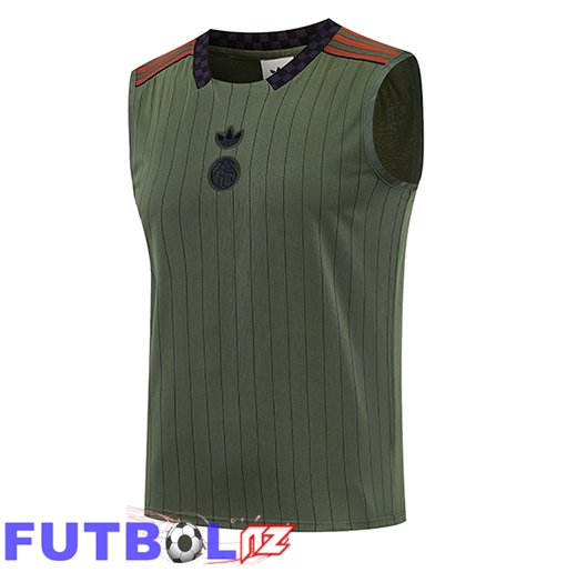 Chalecos De Futbols Bayern Munich Verde 2026/2027