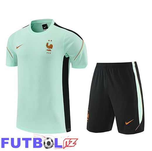 Training T-Shirt Francia Verde/Negro 2026/2027