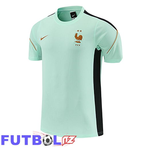 Training T-Shirt T-Shirt Francia Verde/Negro 2026/2027