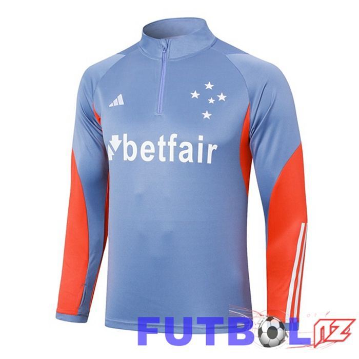 Sudadera De Entrenamiento Cruzeiro EC Gris 2024/2025