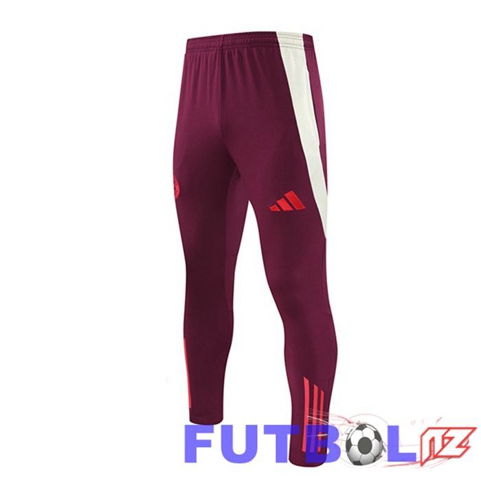 Pantalon De Bayern Munich Rojo 2024/2025