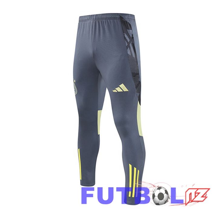 Pantalon De AFC Ajax Gris 2024/2025