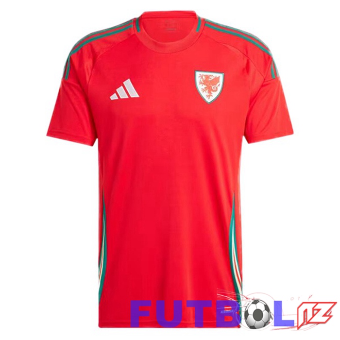 Camiseta Nacional Gales Primera Rojo UEFA Euro 2024