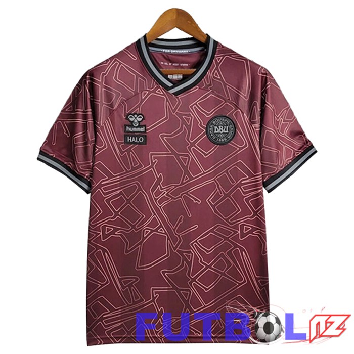 Camiseta Nacional Dinamarca Edición Especial Rojo Oscuro 2024/2025