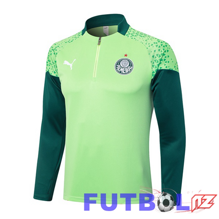 Sudadera De Entrenamiento Palmeiras Verde 2024/2025