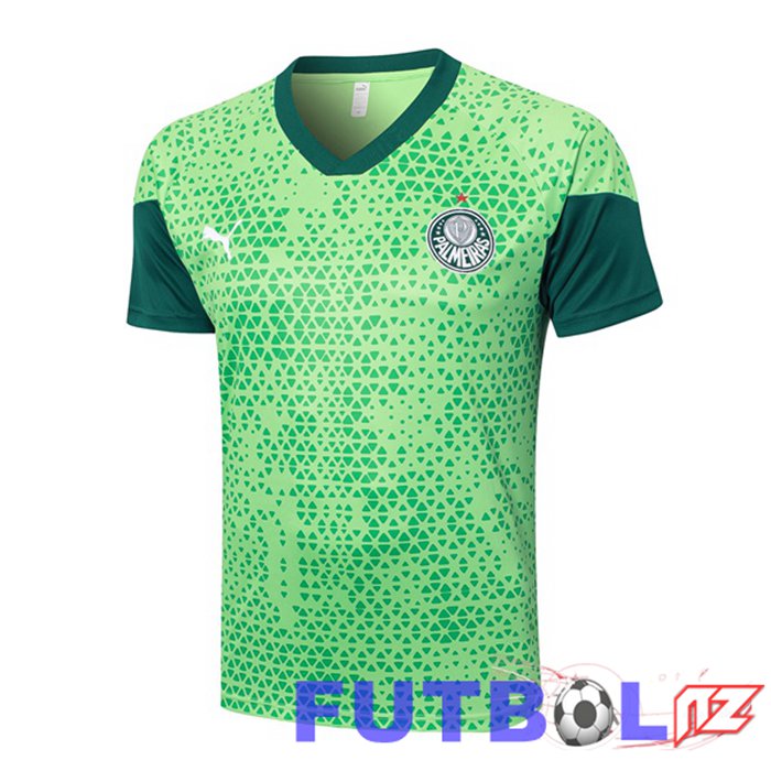 Camiseta Entrenamiento Palmeiras Verde 2024/2025