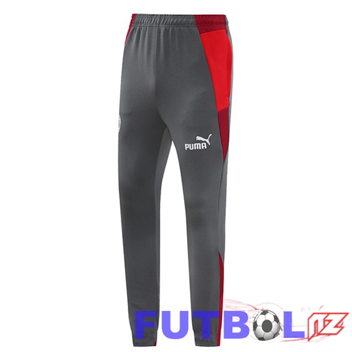 Pantalon Entrenamiento AC Milan Gris 2024/2025
