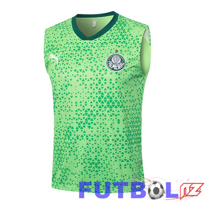 Chalecos Futbol Palmeiras Verde 2024/2025