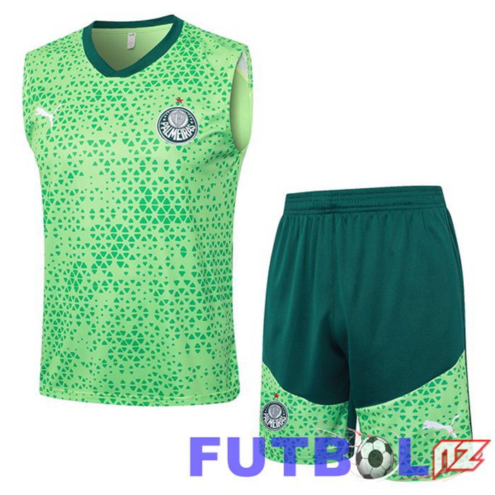 Chalecos Futbol Palmeiras + Cortos Verde 2024/2025