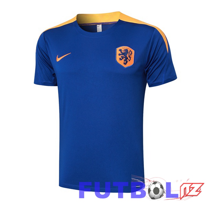 Camiseta Entrenamiento Países Bajos Azul Real 2024/2025