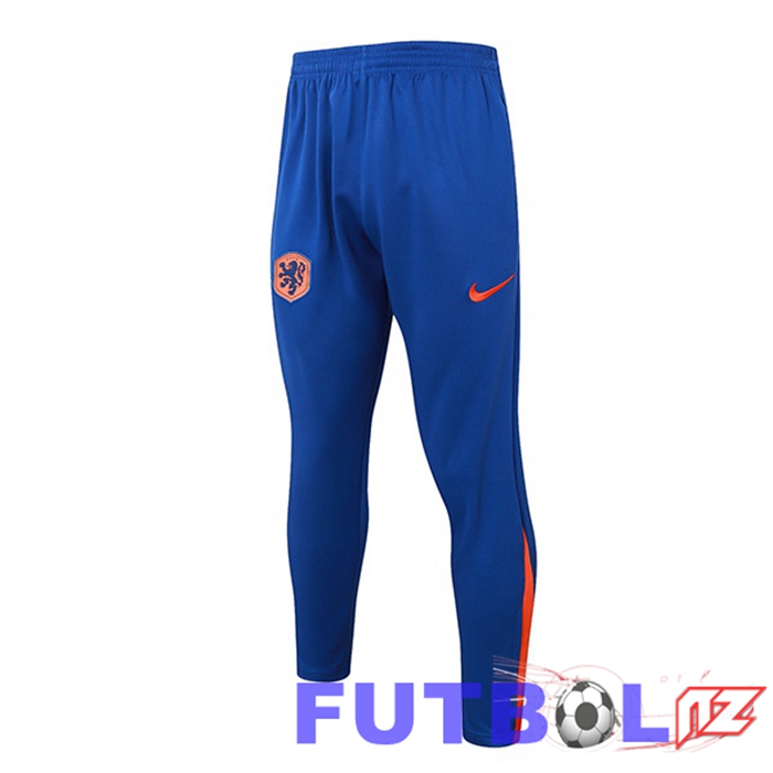 Pantalon Entrenamiento Países Bajos Azul 2024/2025