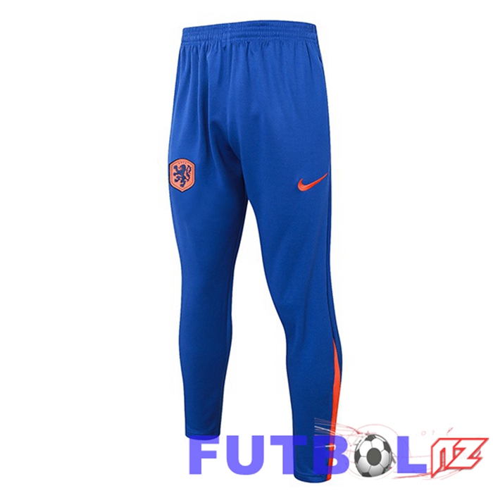 Pantalon Entrenamiento Países Bajos Azul 2024/2025