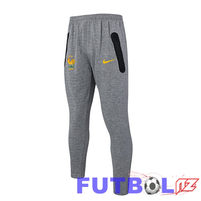 Pantalon Entrenamiento Francia Gris 2024/2025