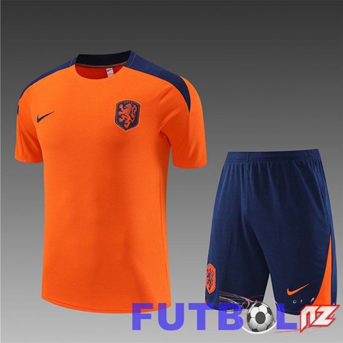 Camiseta Entrenamiento + Cortos Países Bajos Ninos Naranja 2023/2024