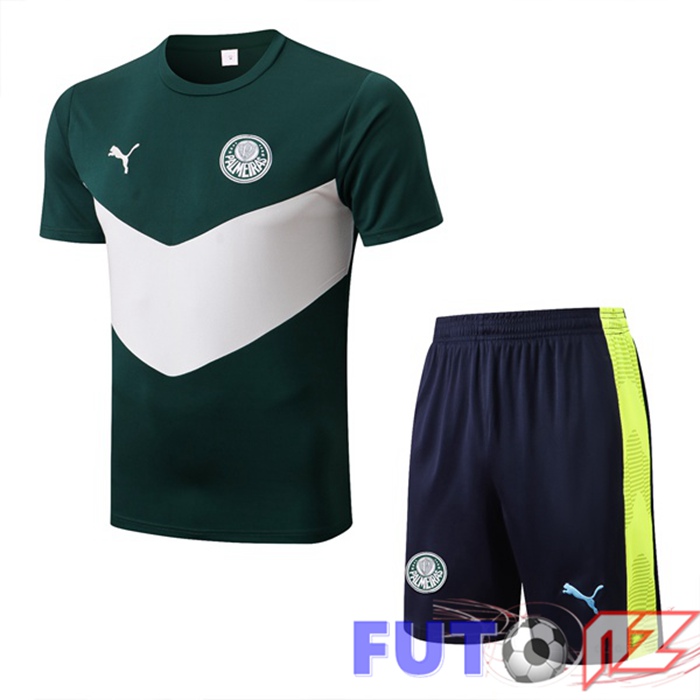 Camiseta Entrenamiento Palmeiras + Cortos Verde 22/23