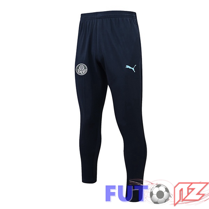 Pantalon Entrenamiento Palmeiras Azul 22/23