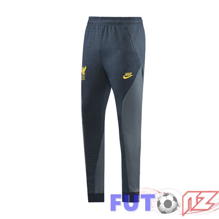 Pantalon Entrenamiento FC Liverpool Gris 2021/2022